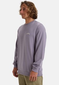 Pullover sweatshirt i ljuslila, med långa ärmar, ribbad rundhals och en liten vit logotyp på bröstet. Mjuk bomullsblandning.