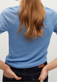 Lichtblauwe gebreide trui met een geribbelde textuur en mouwen met een patroon van gaas. Heeft een aansluitend model, een ronde halslijn en een contrasterende tailleband.