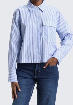 Persona que lleva una camisa abotonada de rayas verticales azules y blancas con mangas largas y vaqueros azul oscuro, con una mano en el bolsillo.