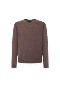 Brauner V-Ausschnitt-Pullover aus weichem Strickmaterial. Mit langen Ärmeln und Rippdetails an den Bündchen und am Saum. Minimalistisches Design.