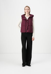 JDY JDYWONDER SHORT HOOD - Liemenė - fig