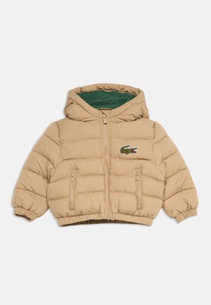 Lacoste, CORE PUFFER UNISEX - Giacca invernale - viennois