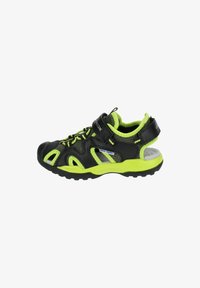 Wybrany, black lime