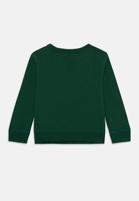 Grüner langärmeliger Pullover mit Rundhalsausschnitt, gerippten Bündchen und Saum, der eine glatte Textur und klare Linien aufweist.