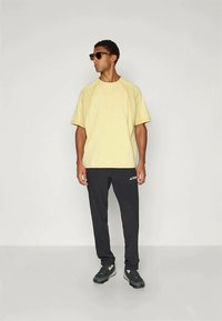 adidas Terrex GRAPHIC - T-shirt desportiva - powder yellow