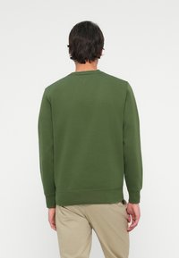 Green sweatshirt with long sleeves, crew neck, and ribbed hem. Made from a soft fabric with a smooth texture, featuring plain design.