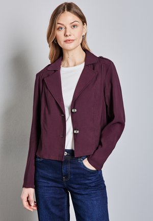 Bleiseri - grape violet