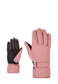 Unausgewählt, rose blossom