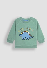 Miętowy sweter z raglanowymi rękawami. Posiada niebieską grafikę dinozaura z kolorowymi kolcami na grzbiecie oraz tekst "Cute-a-saurus" powyżej.