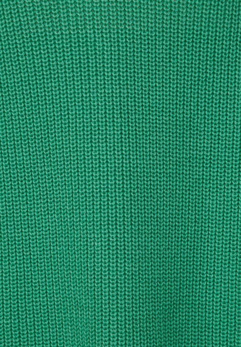 Damen Strickjacken | Janet & Joyce Strickpullover pistaziengrün/grün - EL21944 Damen Strickjacken | Janet & Joyce Strickpullover pistaziengrün/grün - EL21944