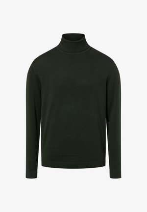 Dunkelgrüner, gestrickter Rollkragenpullover mit langen Ärmeln und geripptem Kragen, Bündchen und Saum, dargestellt auf weißem Hintergrund.