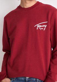 Tommy Jeans Bluza
