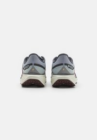 Vista posteriore di scarpe da corsa con tomaia in mesh grigio, etichetta GORE-TEX, accenti in azzurro chiaro e viola, e suola in gomma marrone testurizzata.