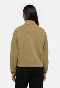 Sudadera de forro polar color caqui con cuello alto, hombros caídos y puños elásticos; presenta una tela suave y texturizada y un detalle de costura horizontal.