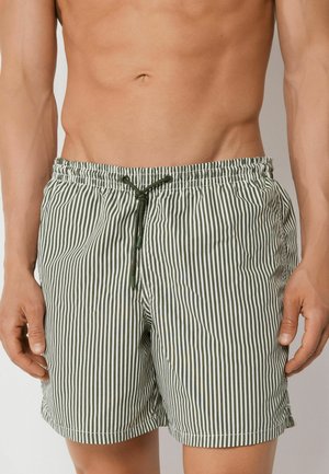 Männlicher Torso mit grün-weiß vertikal gestreiften Badeshorts und einem dunkelgrünen Kordelzug, der an der Taille gebunden ist.