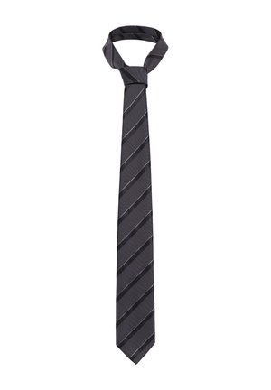 Dark grey tie with diagonal silver stripes, made of a smooth fabric. Features a classic pointed end and a knotted collar.