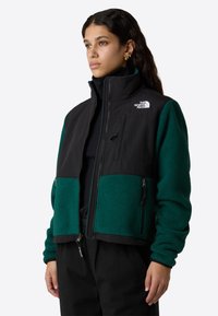 Giacca in pile nera e verde con colletto alto, tasche con zip e logo The North Face sul petto. Design in tessuto testurizzato e stratificato.
