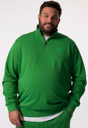 TROYER BASIC ZIPPKRAGEN BIS 8 XL - Collegepaita - light green
