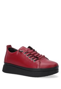 VENEZIA Sneaker low - bordeaux