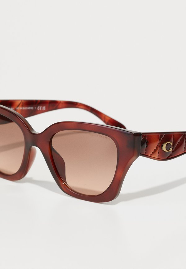 CAD - Sunglasses - caramel tortoise2