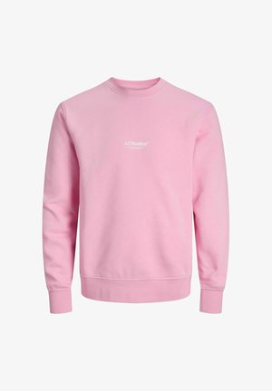 Sudadera rosa hecha de una suave mezcla de algodón. Cuenta con un cuello redondo, puños acanalados y un pequeño logo blanco en el pecho.