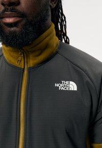 The North Face GLACIER HEAVYWEIGHT 1/2 ZIP - Felpa in pile - moss green/asphalt grey