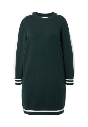 Dark green knitted sweater dress, ribbed crew neck, with white and grey stripes down sleeves and hem, featuring a relaxed fit.