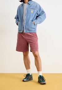 Lichtblauwe denimjack met een borstzak, grijs T-shirt en kastanjebruine shorts. Groene en grijze sportschoenen, witte crew-sokken, op een gele vloer.