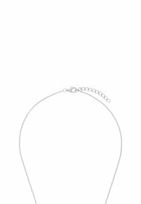 Collana in argento con un design delicato, dotata di chiusura a moschettone e lunghezza regolabile grazie a un ulteriore segmento di catena.