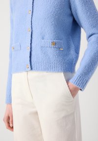 Hellblauer Cardigan mit weicher Textur, ausgestattet mit goldenen Knöpfen, zwei aufgesetzten Taschen und gerippten Bündchen, kombiniert mit cremefarbener Cordhose.