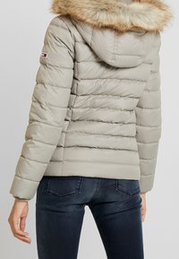Tommy Jeans Dunjacka - light grey