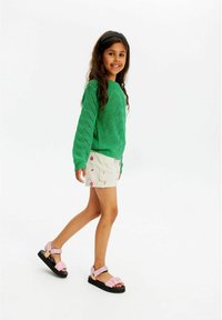 The New TNJIVA  - Pulover - bright green