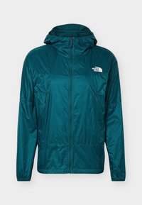 Δεν επιλέχθηκε, pacific teal