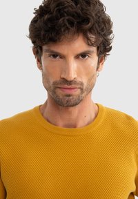 Knit sweater ryškiai geltonos spalvos su tekstūruotu, avilio raštu ir apvaliu iškirpimu. Matoma trumpai nukirpta šukuosena ir tvarkingai prižiūrima barzdą.