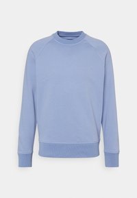 Sweat-shirt bleu clair en tissu doux, avec un col rond, des manches raglan, des poignets et un ourlet côtelés pour une coupe décontractée.