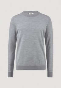 Grauer Langarmpullover aus einem weichen Strickmaterial. Mit Rundhalsausschnitt und gerippten Abschlüssen und Saum. Schlichte, einheitliche Textur.