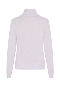 Lichtpaarse trui met hoge kraag, lange mouwen, ribgebreide manchetten en een gestructureerd breipatroon. Achteraanzicht toont een schoon, eenvoudig ontwerp.