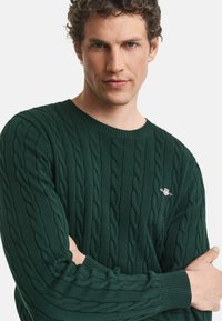 Grüner Kabelstrickpullover mit strukturiertem Muster, geripptem Halsausschnitt und Bündchen. Kleines Logo auf der Brust. Hergestellt aus gestricktem Stoff.