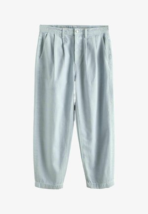 Jasnoszare casualowe spodnie o luźnym kroju, z plisami z przodu, bocznymi kieszeniami, szlufkami na pasek i zapięciem na guzik w pasie.