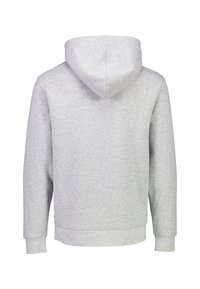 Felpa grigia realizzata in tessuto morbido. Presenta un cappuccio con cordini, maniche lunghe e polsini e orlo ribattuti. Nessun dettaglio anteriore o tasche visibili.