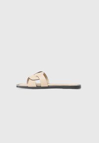 Mules - tortora