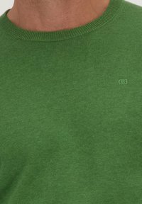 Groene gebreide trui met een ronde hals, gemaakt van zachte stof. Heeft een discreet logo nabij de kraag. Zachte textuur.