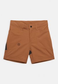 Color Kids COPANTS - Friluftsbyxor - tabacco brown
