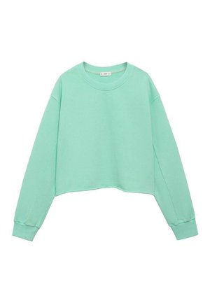 TEEN WITH SEAMLESS FINISH - Sweatshirt - green