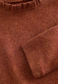 Next POINTELLE  - REGULAR FIT - Svetrík - rust brown