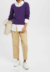Pull violet tricoté à rayures horizontales, porté sur une chemise blanche à boutons. Un pantalon beige et des baskets blanches complètent la tenue.