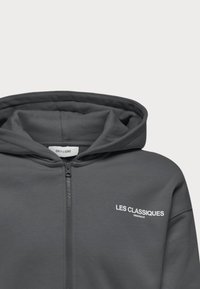 Grijze zip-up hoodie met een capuchon, voorzien van "LES CLASSIQUES" in het wit gedrukt op de linker borst. Glad textiel met een minimalistisch ontwerp.
