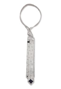 Cravatta grigio chiaro lucida con sottili motivi di uccelli e una punta blu scuro. Presenta un design classico, una consistenza liscia e una forma tradizionale.