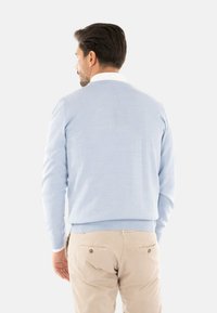 Maglione azzurro chiaro realizzato in un morbido materiale a maglia, con scollatura rotonda e orlo a coste. Indossato sopra una camicia bianca con colletto, abbinato a pantaloni beige.