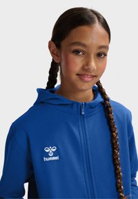 Blaue Zip-Hoodie aus glattem Stoff mit einem Frontreißverschluss, einer Kapuze und einem gestickten Logo auf der Brust.